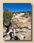 Canyons of the Ancients National Monument 1